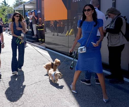 17 05 2025, Autodromo Enzo e Dino Ferrari, Imola, Formula 1 Grand Prix Emilia Romagna 2025 ,in the picture Francisca Cerqueira Gomes L , girlfriend of Pierre Gasly FRA , BWT Alpine F1 Team with dog Simba, Alexandra Saint Mleux R , girlfriend of Charles Leclerc MCO , Scuderia Ferrari HP with dog Leo Photo by Hasan Bratic DeFodi Images