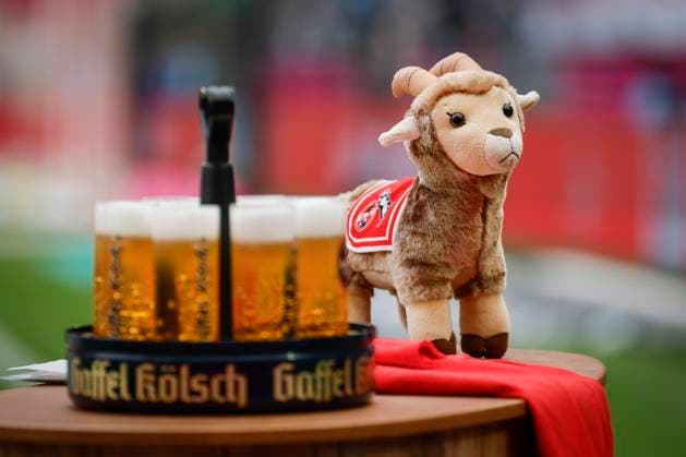 2 Soccer Bundesliga, 1 FC Köln 1 FC Kaiserslautern, 18 05 2025 Is there something for the FC to celebrate A Kölsch wreath next to a Geißbock plush figure 34 Matchday of the 2 Soccer Bundesliga, 1 Soccer Bundesliga, 1 FC Köln 1 FC Kaiserslautern on 18 05 2025 at the RheinEnergie Stadium in Cologne THE DFL REGULATIONS PROHIBIT ANY USE OF PHOTOS AS PICTURE SEQUENCES AND OR QUASI VIDEO Copyright: xBEAUTIFULxSPORTS AxelxKohringx