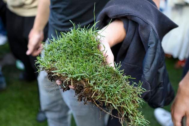 Cologne, Germany, 18 05 25 Grass from the RheinEnergie Stadion in the hand of a fan of 1 FC Köln during the match of the 2 Bundesliga between 1 FC Köln vs 1 FC Kaiserslautern at the RheinEnergieStadion Köln RheinEnergieStadion North Rhine Westphalia Germany Copyright: xBrauer-Fotoagenturx xAdrianxSchlx