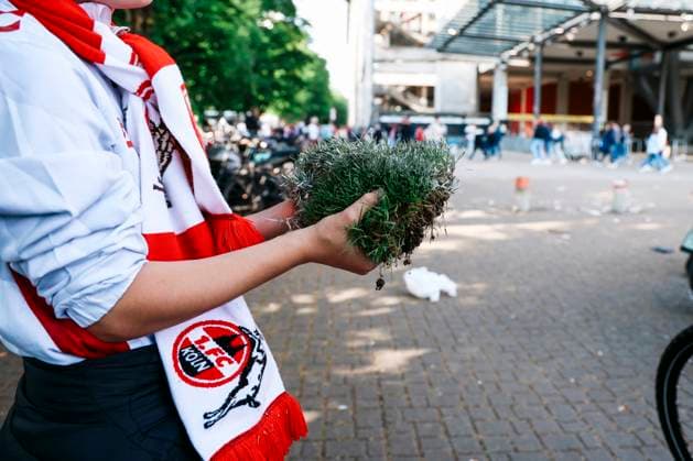 2 Soccer Bundesliga, 1 FC Köln 1 FC Kaiserslautern, 18 05 2025 2 Soccer Bundesliga, 1 FC Köln 1 FC Kaiserslautern Impressions around the stadium, Cologne, RheinEnergie stadion on 18 05 2025 Copyright: xBEAUTIFULxSPORTS Freisenx