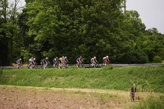 The pack rides cycles during the stage 14 of the Giro d™Italia from Treviso to Nova Gorica Gorizia, Italy - Saturday, May 24, 2025. - cycling.  Copyright: xMarcoxAlpozzi LaPressex