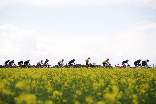 The pack rides cycles during the stage 14 of the Giro d™Italia from Treviso to Nova Gorica Gorizia, Italy - Saturday, May 24, 2025. - cycling.  Copyright: xMarcoxAlpozzi LaPressex