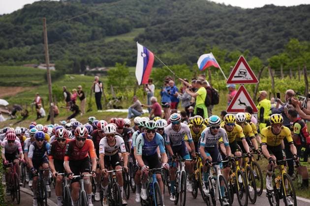 The pack rides cycles during the stage 14 of the Giro d™Italia from Treviso to Nova Gorica Gorizia, Italy - Saturday, May 24, 2025. - cycling.  Copyright: xMarcoxAlpozzi LaPressex