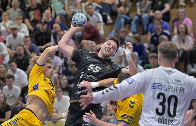 Handball, 2. BL, HC Elbflorenz Dresden - HSG Konstanz
