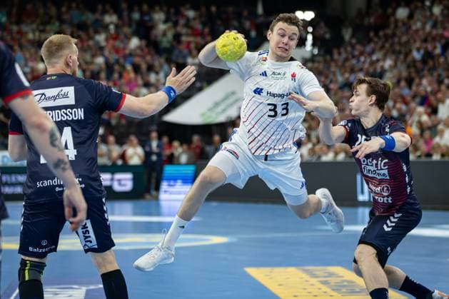 Handball, HBL, SG Flensburg-Handewitt - HSV Hamburg