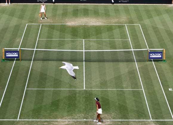 Sport Bilder des Tages 27th June 2025; Devonshire Park, Eastbourne, East Sussex, England; Lexus International Eastbourne, Day 5; Alexandra Eala (PHI) serves to Varvara Gracheva (FRA) in the womens singles semi-final match  ActionPlus12805862 HongboxChen