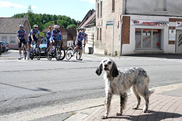 Tour de France 2025 03 07 2025 LILLE METROPOLE, FRANCE - JULY 03 : a dog supporting the riders of Soudal - Quick Step pictured during a training session ahead of the 112th edition of Tour de France an UCI World Tour 2.UWT cycling road race stage for Men Elite on July 3, 2025 in Lille Metropole, France, 03 07 2025 ( Motordriver Kenny Verfaillie - Lille Metropole France  Copyright: xJanxDexMeuleneirx