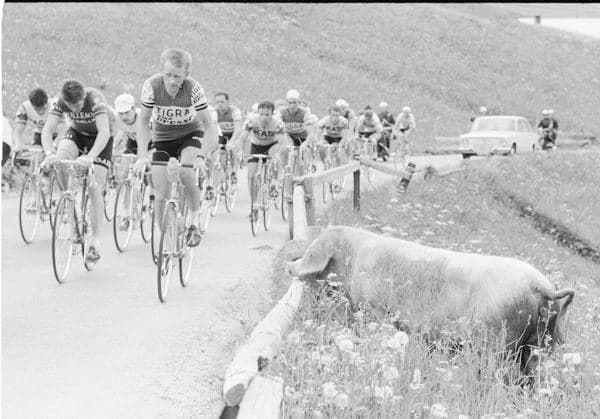 Archive pictures of the week SPORT KW27