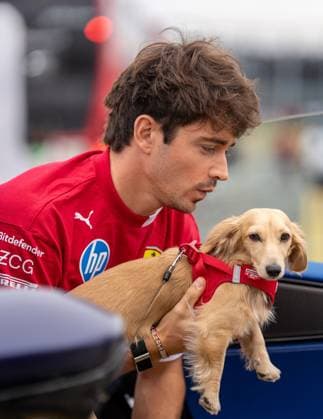 F1 British Grand Prix - UK Charles Leclerc (Mon) of Scuderia Ferrari 16 and Leo Leclerc (Dog) during the Formula 1 Qatar Airways British Grand Prix 2025 on Friday at the Silverstone International Circuit, Silverstone, England, UK on July 4, 2025. Photo by Antoine Lapeyre ABACAPRESS.COM Silverstone England United Kingdom  Copyright: xLapeyrexAntoine ABACAx