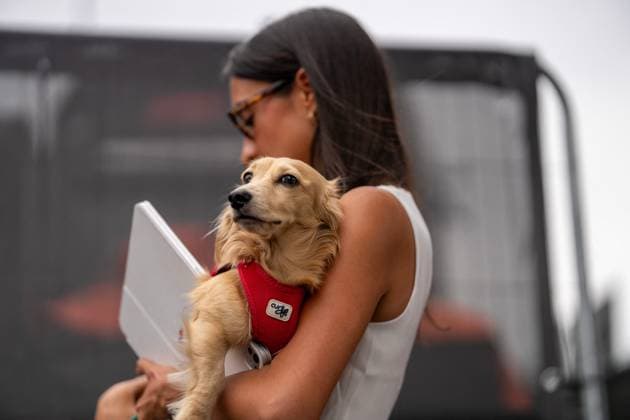 F1 British Grand Prix - UK Alexandra Saint Mleux (Far) and Leo Leclerc (Dog) during the Formula 1 Qatar Airways British Grand Prix 2025 on Friday at the Silverstone International Circuit, Silverstone, England, UK on July 4, 2025. Photo by Antoine Lapeyre ABACAPRESS.COM Silverstone England United Kingdom  Copyright: xLapeyrexAntoine ABACAx