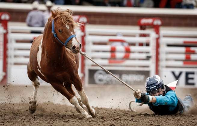July 6, 2025, Calgary, Ab, CANADA: A competitor is dragged through the dirt during wild pony racing rodeo action at the Calgary Stampede in Calgary, Alta., Sunday, July 6, 2025. Canada News - July 6, 2025  - ZUMAc35_ 20250706_zaf_c35_082 Copyright: xJeffxMcintoshx