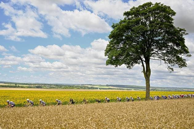 The pack of riders pictured in action during the fourth stage of the 2025 Tour de France cycling, Amien Metropole - Rouen (173 km), on Tuesday 08 July 2025 in France. The 112th edition of the Tour de France starts on Saturday 5 July in Lille, France, and will finish in Paris, France on the 27th of July. JASPERxJACOBS  x128684183x