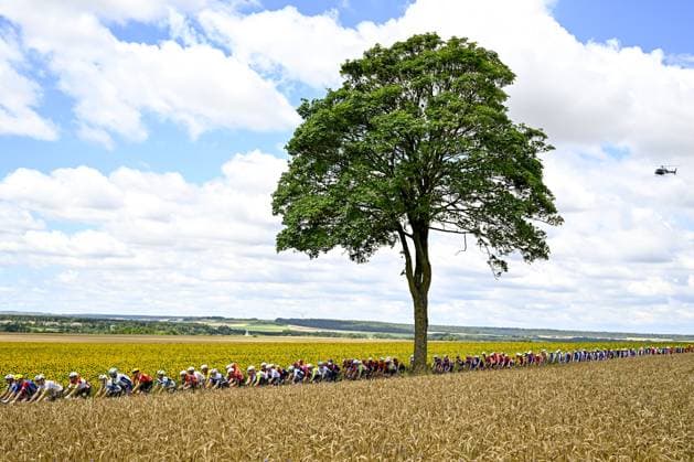 The pack of riders pictured in action during the fourth stage of the 2025 Tour de France cycling, Amien Metropole - Rouen (173 km), on Tuesday 08 July 2025 in France. The 112th edition of the Tour de France starts on Saturday 5 July in Lille, France, and will finish in Paris, France on the 27th of July. JASPERxJACOBS  x128685319x
