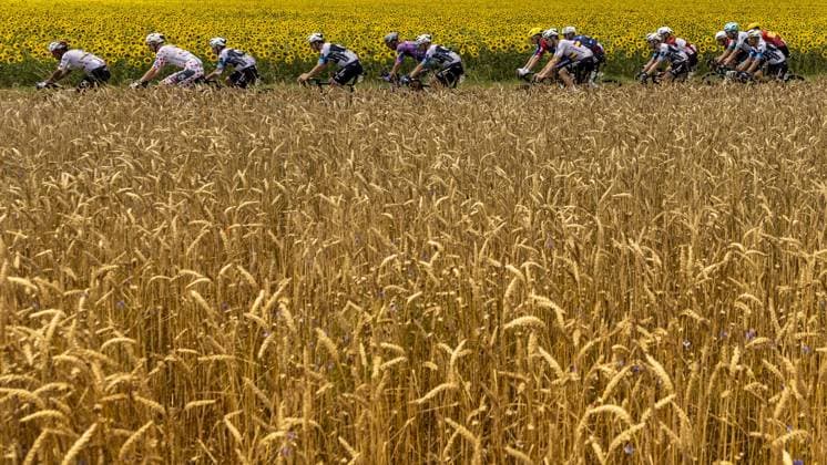 The pack of riders pictured in action during the fourth stage of the 2025 Tour de France cycling, Amien Metropole - Rouen (173 km), on Tuesday 08 July 2025 in France. The 112th edition of the Tour de France starts on Saturday 5 July in Lille, France, and will finish in Paris, France on the 27th of July. DAVIDxPINTENS  x128688796x