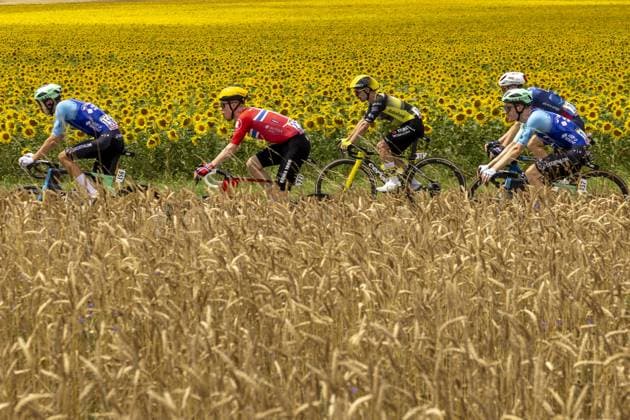 The pack of riders pictured in action during the fourth stage of the 2025 Tour de France cycling, Amien Metropole - Rouen (173 km), on Tuesday 08 July 2025 in France. The 112th edition of the Tour de France starts on Saturday 5 July in Lille, France, and will finish in Paris, France on the 27th of July. DAVIDxPINTENS  x128692345x