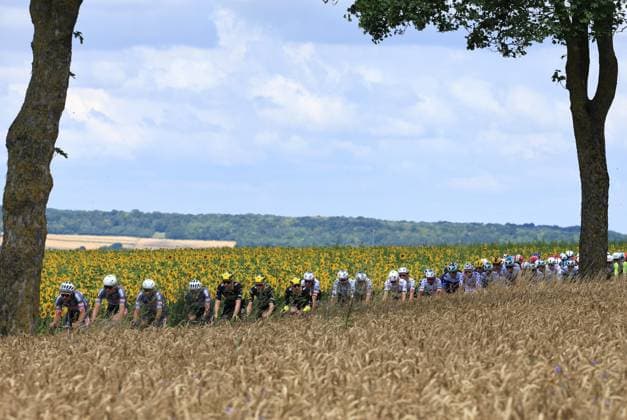 Tour de France 4éme etape Amiens Rouen PHOTOPQR LE COURRIER PICARD Haslin ; Monsures ; 08 07 2025 ; 08 07 25 Cyclisme Tour de France 4ème etape Amiens Rouen Le peloton dans un champ de tournesol avant l Estoc de Monsures Photo Fred Haslin - CYCLING TOUR DE FRANCE 2025 The 112th edition of the Tour de France starts on Saturday 5 July in Lille, France, and will finish in Paris, France on the 27th of July Amiens Metropole to Rouen 2025 07 08 - Stage 4 Monsures 80 France  Copyright: xPHOTOPQR LExCOURRIERxPICARD MAXPxHaslinx 20250708LCP7430 20250708LCP7430