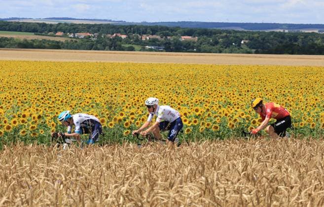 Tour de France 4éme etape Amiens Rouen PHOTOPQR LE COURRIER PICARD Haslin ; Monsures ; 08 07 2025 ; 08 07 25 Cyclisme Tour de France 4ème etape Amiens Rouen Les trois echappés dans un champ de tournesol avant l Estoc de Monsures Martinez Gachignard et Abrahamsen Photo Fred Haslin - CYCLING TOUR DE FRANCE 2025 The 112th edition of the Tour de France starts on Saturday 5 July in Lille, France, and will finish in Paris, France on the 27th of July Amiens Metropole to Rouen 2025 07 08 - Stage 4 Monsures 80 France  Copyright: xPHOTOPQR LExCOURRIERxPICARD MAXPxHaslinx 20250708LCP7431 20250708LCP7431