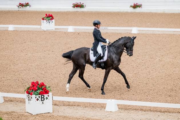 250712 Svenja Kämper-Meyer of Germany with horse Amanyara M Frh competes in FEI Dressage Nations Cup Grand Prix during Falsterbo Horse Show on July 12, 2025 in Falsterbo. Photo: Petter Arvidson BILDBYRAN kod PA PA1057 ridsport equestrian falsterbo horse show bbeng falsterbo dressyr *** 250712 Svenja Kämper Meyer of Germany with horse Amanyara M Frh competes in FEI Dressage Nations Cup Grand Prix during Falsterbo Horse Show on July 12, 2025 in Falsterbo Photo Petter Arvidson BILDBYRAN kod PA PA1057 ridsport equestrian falsterbo horse show bbeng falsterbo dressyr  Copyright: PETTERxARVIDSON BB250712PA046