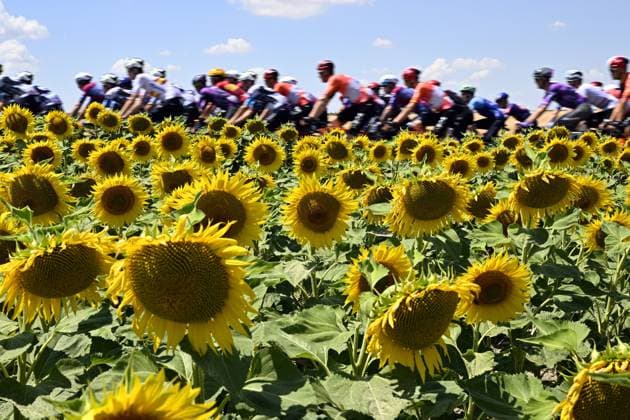 the pack of the riders pictured in action during stage nine of the 2025 Tour de France cycling, from Chinon to Chateauroux (170 km), on Sunday 13 July 2025 in France. The 112th edition of the Tour de France starts on Saturday 5 July in Lille, France, and will finish in Paris, France on the 27th of July. JASPERxJACOBS  x129071376x