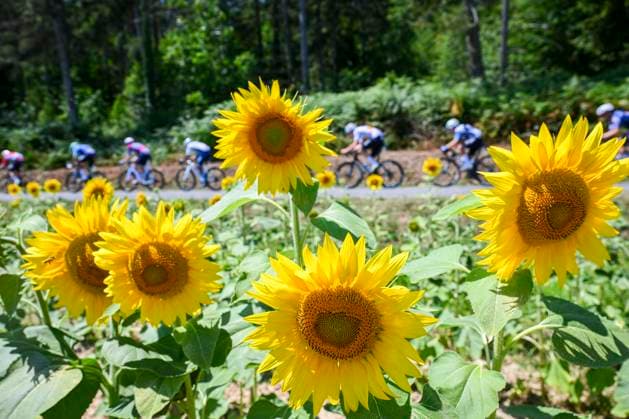 Tour de France 2025 Stage 12 HAUTACAM, FRANCE - JULY 17 : Illustration picture during stage 12 of the 112th edition of Tour de France an UCI World Tour 2.UWT cycling road race stage for Men Elite of 181 km with start in Auch and finish in Hautacam on July 17, 2025 in Hautacam, France, 17 07 2025 ( Motordriver Kenny Verfaillie - Hautacam France  Copyright: xVincentxKalutx