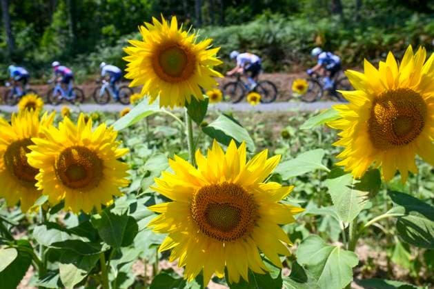 Tour de France 2025 Stage 12 HAUTACAM, FRANCE - JULY 17 : Illustration picture of the peloton during stage 12 of the 112th edition of Tour de France an UCI World Tour 2.UWT cycling road race stage for Men Elite of 181 km with start in Auch and finish in Hautacam on July 17, 2025 in Hautacam, France, 17 07 2025 ( Motordriver Kenny Verfaillie - Hautacam France  Copyright: xVincentxKalutx