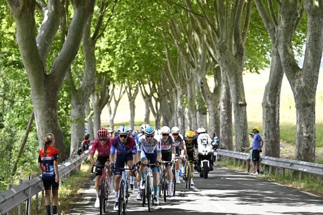 The breakaway group pictured during stage 15 of the 2025 Tour de France cycling race, from Muret to Carcasonne (169 km), on Sunday 20 July 2025 in France. The 112th edition of the Tour de France starts on Saturday 5 July in Lille, France, and will finish in Paris, France on the 27th of July. POOLxJANxDExMEULENEIR  x129640688x