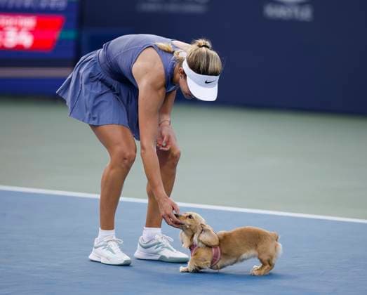 July 26, 2025: Anna Kalinskaya goes to pick up her dog after her match with Emma Raducanu during the 2025 Mubadala Citi DC Open tennis tournament being played at Rock Creek Park Tennis Center in Washington, D.C. CSM District Of Columbia United States of America - ZUMAc04_ 20250726_zma_c04_267 Copyright: xJustinxCooperx