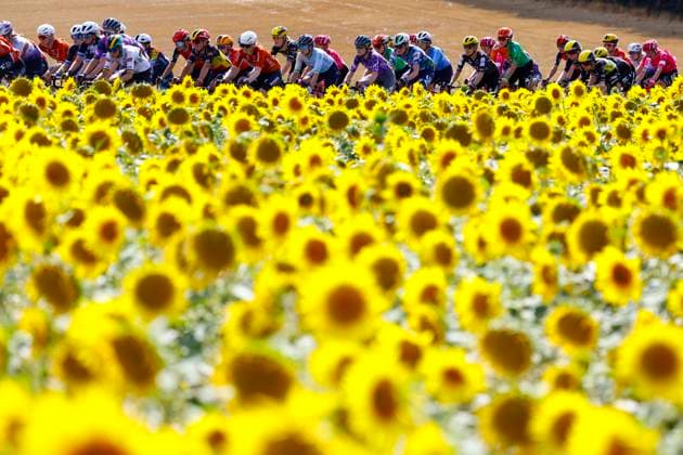 Tour de France Femmes 2025 Tour de France Femmes 2025 - 4th Edition - 5th stage Chasseneuil-du-Poitou (Futuroscope) - Gueret 165,8 Km - 30 07 2025 - Peloton - Scenery - photo Rafa Gomez SprintCyclingAgency 2025 Gueret France  Copyright: xRafaxGomezx xSprintcyclingagencyx
