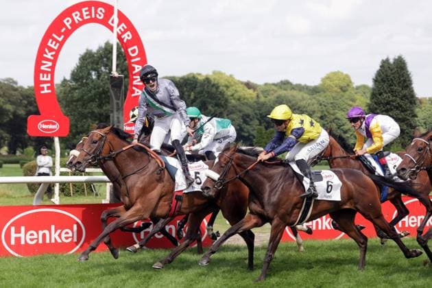 03.08.2025, Duesseldorf, Nordrhein-Westfalen, GER - Nicoreni mit Leon Wolff gewinnt den 167. Preis der Diana. Galopprennbahn Duesseldorf-Grafenberg. (Pferd, Jockey, Nicoreni, Wolff, Sieg, Ziel, Zielankunft) 250803SG991DUESSELDORF.JPG *** 03 08 2025, Duesseldorf, Nordrhein Westfalen, GER Nicoreni with Leon Wolff wins the 167 Prize of Diana Galopprennbahn Duesseldorf Grafenberg Horse, Jockey, Nicoreni, Wolff, Victory, Finish, Finish 250803SG991DUESSELDORF JPG