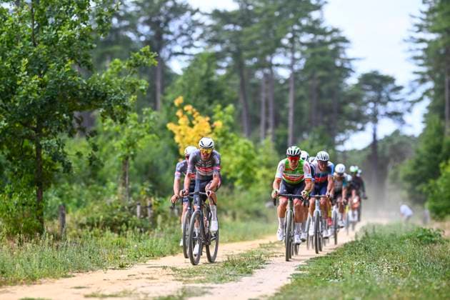 Belgian 2025 National Championship Gravel Westerlo 17 08 2025 WESTERLO, BELGIUM - AUGUST 17 : Kielich Timo (POL) of Alpecin-Deceuninck, Sweeck Laurens (BEL) of Crelan - Corendon in action during the Elite cycling Gravel race of the Belgian National Championships 2025 an UCI National Championships Gravel race with start and finish in Westerlo on August 17, 2025 in Westerlo, Belgium, 17 08 2025 Westerlo Belgium  Copyright: xGvgx