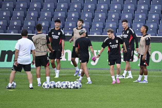 Football, CL-Quali, Benfica Lisbon, Training