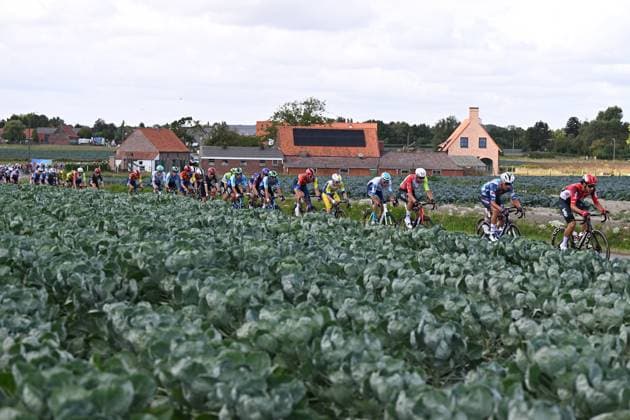 The pack of cyclists pictured at the first stage of the Renewi Tour multi-stage cycling race, from Terneuzen to Breskens, The Netherlands (182,7 km) on Wednesday 20 August 2025. The five-day race takes place in Belgium and the Netherlands. DAVIDxPINTENS  x131762226x