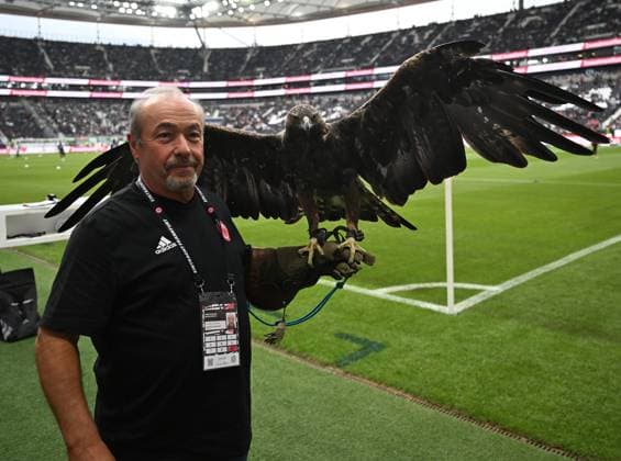 Sport Bilder des Tages 23.08.2025, xjhx, Fussball 1.Bundesliga, Eintracht Frankfurt - SV Werder Bremen v.l. Maskottchen Attila und Norbert Lawitschka (Berufsfalkner) (DFL DFB REGULATIONS PROHIBIT ANY USE OF PHOTOGRAPHS as IMAGE SEQUENCES and or QUASI-VIDEO) Frankfurt am Main *** 23 08 2025, xjhx, Soccer 1 Bundesliga, Eintracht Frankfurt SV Werder Bremen v l Mascot Attila and Norbert Lawitschka Professional falconer DFL DFB REGULATIONS PROHIBIT ANY USE OF PHOTOGRAPHS as IMAGE SEQUENCES and or QUASI VIDEO Frankfurt am Main