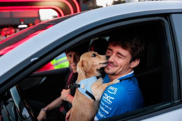 F1 - ITALIAN GRAND PRIX 2025 Leo LECLERC, dog of LECLERC Charles (mco), Scuderia Ferrari SF-25, portrait during the 2025 Formula 1 Pirelli Grand Premio d™Italia, 2025 Italian Grand Prix, 16th round of the 2025 FIA Formula One World Championship, WM, Weltmeisterschaft from September 5 to 7, 2025 on the Autodromo Nazionale Monza, in Monza, Italy - MonzaItaly  Copyright: xGERMAINxHAZARDx