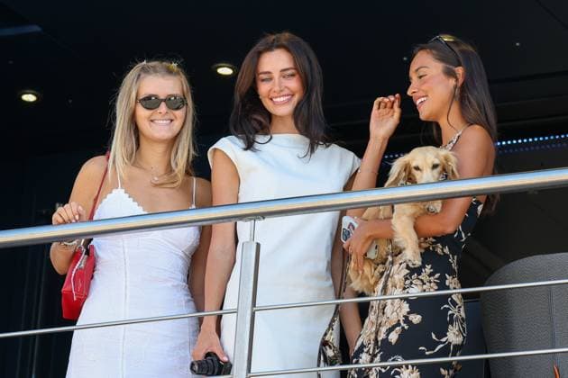 l r Companion Alicia Torriani of Oliver Bearman MoneyGramm Haas 87 , Companion Rebecca Donaldson of Carlos Sainz jr Atlassian Williams Racing 55 , Companion Alexandra Saint Mleux of Charles Leclerc Scuderia Ferrari HP 16 , Race, Italian Grand Prix, Motorsport, Men, Formula 1, 07 09 2025 Monza Lombardy Italy Copyright: xkolbert-press ChristianxKolbertx