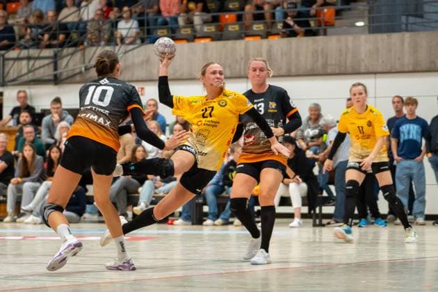 Handball, Women, 2nd HBF, VfL Waiblingen - HC Rödertal