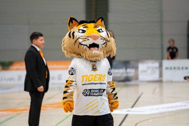 Handball I Women I Season 2025 2026 I 2 Bundesliga I 3 Matchday I VfL Waiblingen HC Rödertal I 13 09 2025 The mascot of the Waiblingen Tigers Waiblingen Rundsporthalle Baden Württemberg Germany Copyright: xLobeca MaxxPetershansx