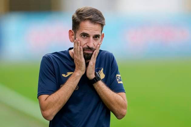 Football, Women, TSG 1899 Hoffenheim part ways with coach Theodoros Dedes - Stock photos