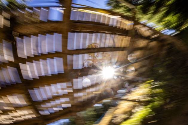 Whoop UCI Mountainbikeworldcup Downhill Lenzerheide NISBET Stan at Whoop UCI Mountainbikeworldcup Downhill Lenzerheide, 18.09.2025,in Lenzerheide,SUI Foto: Sebastian Sternemannat Whoop UCI Mountainbikeworldcup Downhill Lenzerheide, 18.09.2025,in Lenzerheide,SUI Foto: Sebastian Sternemann