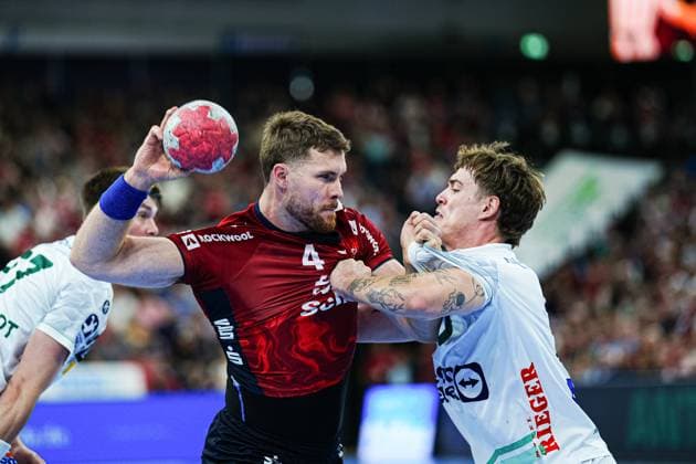 Handball, HBL, SG Flensburg-Handewitt - Frisch Auf Göppingen
