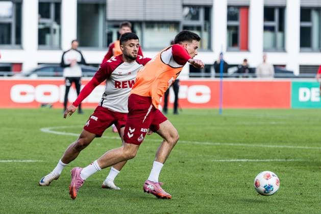Training 1 FC Köln 30 09 2025 duel Jusuf Gazibegovic 1 FC Köln, 25 , Said El Mala 1 FC Köln, 13 Training 1 FC Köln Geissbockheim, 30 09 2025 Copyright: xBEAUTIFULxSPORTS Wunderlx