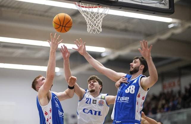 Basketball, 2. BL, ProB, CATL Lions - BBC Coburg