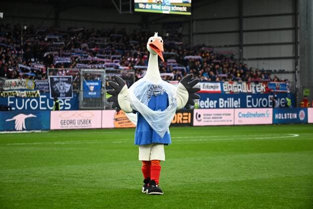 04 10 2025, Football, Men, 2 BL Bundesliga , Season 2025 2026, Holstein Kiel SV Darmstadt 98, 8 Matchday Mascot Kiel, Stork Kiel, Holstein Stadium Holstein Stadium Schleswig Holstein Germany