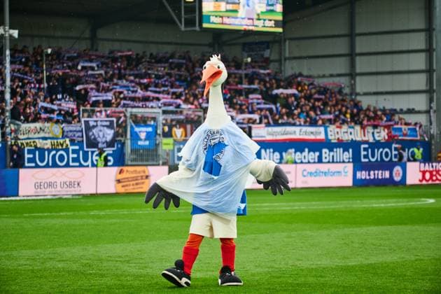 04 10 2025, Soccer, Men, 2 BL Bundesliga , Season 2025 2026, Holstein Kiel SV Darmstadt 98, 8 Matchday Mascot Stolle Kieler Storch somewhat plucked Kiel, Holstein Stadion Holstein Stadion Schleswig Holstein Germany