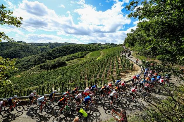 The pack of riders pictured in action during the Men Elite raod race, a 202,5 km from Privas to Guilherand-Granges, at the UEC road European cycling championships, Sunday 05 October 2025, France. The European cycling championships Drome-Ardeche takes place from 1 to 5 October, France. DAVIDxPINTENS  x136127026x