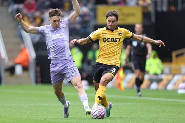 Football, England, Wolverhampton Wanderers - Brighton and Hove Albion
