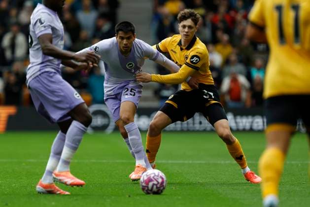 Wolverhampton Wanderers v Brighton and Hove Albion Premier League Ladislav Krejci of Wolverhampton Wanderers holds off Diego Gomez of Brighton and Hove Albion during the Premier League match at Molineux, Wolverhampton UK Newspapers OUT Copyright: xJackxTylerx FIL-22325-0073