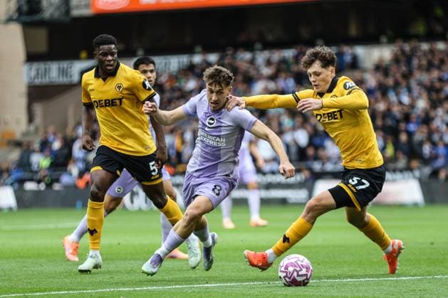 Brajan Gruda (8 Brighton) on the ball during the Premier League football match between Wolverhampton Wanderers and Brighton and Hove Albion at Molineux stadium in Wolverhampton, England Copyright: xNataliexMincher SPPx Sportspressphoto_SPR38418