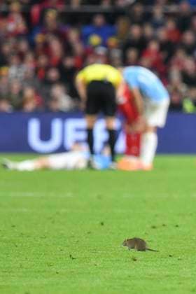 Football - 2026 FIFA World Cup, WM, Weltmeisterschaft, Fussball - European Qualifying - Group J - Matchday 8 12 - Wales vs Belgium - Cardiff City Stadium - Monday 13th October 2025 rat on the pitch COLORSPORT Winston Bynorth 