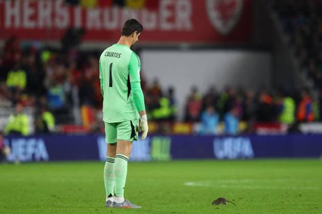 Cardiff, Wales, 13th October 2025. Thibaut Courtois of Belgium looks at the rat as it stops play during the Wales vs Belgium FIFA World Cup, WM, Weltmeisterschaft, Fussball European Qualifying match at the Cardiff City Stadium, Cardiff. Picture credit should read: Gareth Evans Sportimage EDITORIAL USE ONLY. No use with unauthorised audio, video, data, fixture lists, club league logos or live services. Online in-match use limited to 120 images, no video emulation. No use in betting, games or single club league player publications. SPI_043_GE_WAL_vs_BEL SPI-4214-0042